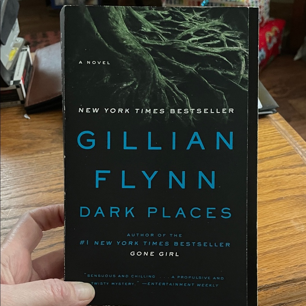 Gillian Flynn Dark Places